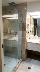 维多利亚城维多利亚城珠穆朗玛峰酒店的一间带玻璃淋浴和水槽的浴室