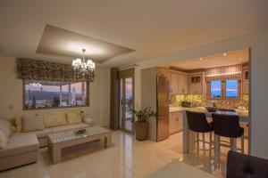 卡米拉日Golden Sky Villa的带沙发的客厅和厨房