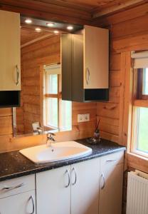 雷克霍特Geysir - Modern Log Cabin的一间带水槽和镜子的浴室