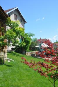 内戈廷Guesthouse Djurić的一座带房子的院子和一座种有红色花卉的花园