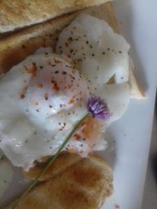 朗福德Westhouse Cafe的白盘,上面有炒鸡蛋和烤面包