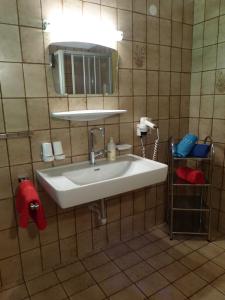 弗林肯贝格豪斯阿斯特丽德克里斯托夫酒店的浴室设有白色水槽和镜子