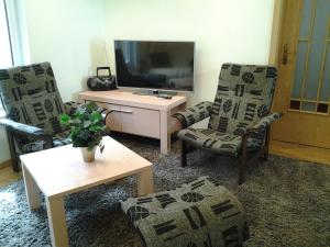 派尔努Jaani 2-1 Apartment的客厅配有2把椅子和平面电视
