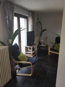 弗里茨拉尔Appartement Stein的客厅配有两把椅子和电视
