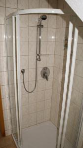 ElmenthalFerienhaus Moni的带淋浴的浴室,带玻璃门