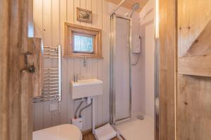 阿普崔威克Craven Shepherd Huts的浴室配有卫生间、盥洗盆和淋浴。