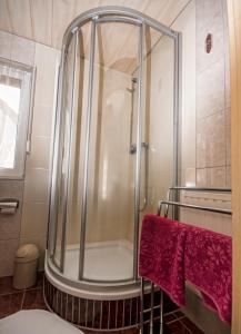 爱尔福特日耳曼宾馆的浴室内带玻璃淋浴间