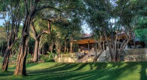 吉里特莱迪尔公园酒店的一座树木繁茂的院子中的房子