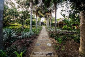圣卢西亚里迪克里奇酒店的穿过种有树木和植物的花园的路径