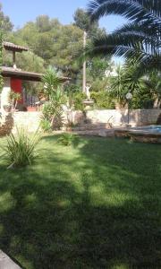 帕拉比塔Villetta In Campagna的种植了绿色草和棕榈树的院子