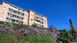 蒙特加特Carmen Seaview & Beach - Apartment的一座山丘上的建筑,前面有紫色的花朵