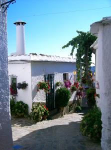 布维翁Casita Buena Vista的一座白色的建筑,花朵和灯塔