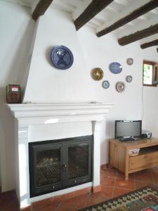 布维翁Casita Buena Vista的客厅设有壁炉和墙上的盘子