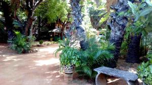 亭可马里阿米拉旅馆的公园里长着长凳和一些植物和树木