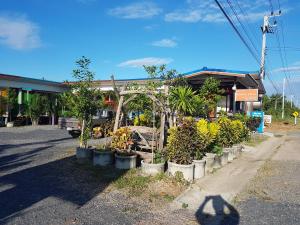 坤西育府那空那育度假村的一群植物在街上的盆子里