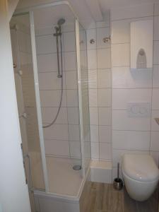 普福尔茨海姆Ferienhaus im Nordschwarzwald的带淋浴和卫生间的浴室