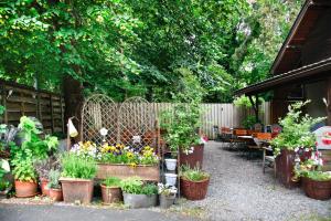 布雷根茨林德宾馆的种有盆栽植物和桌子的花园,以及围栏