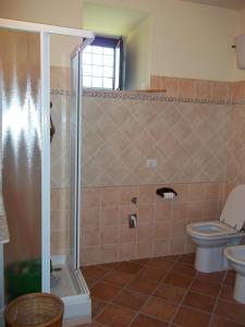 FarneseIl Mulino in Maremma的一间带卫生间和玻璃淋浴间的浴室