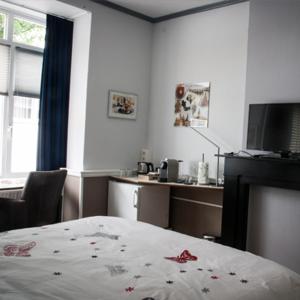 马斯特里赫特海特哈乐奇金住宿加早餐旅馆的一间卧室配有一张床、一张书桌和一台电视