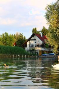 扎马迪Nefelejcs的河上的房子,水里放着鸭子