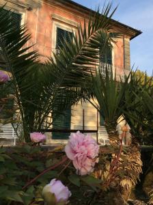 萨尔扎纳Villa Carlotta的前面有粉红色花的房子