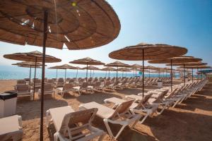 埃拉特埃拉特U珊瑚海滩俱乐部全包酒店的海滩上的一排椅子和遮阳伞