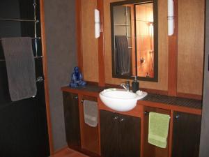 阿格奈什沃特森林小屋：巴厘风情酒店的一间带水槽和镜子的浴室