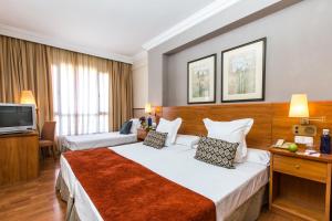 格拉纳达格拉纳达莱昂纳多酒店的酒店客房,配有床和电视