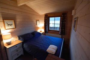 布雷肯Log Cabin的一间卧室配有一张床、一张书桌和一个窗户。
