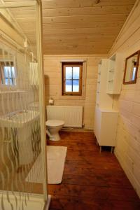 布雷肯Log Cabin的客房内设有带卫生间和盥洗盆的浴室