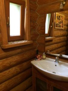 BushtynoKazkova khatynka的一间带水槽和镜子的浴室