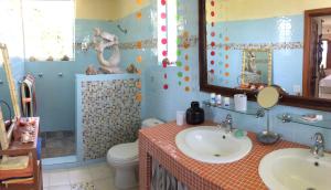 CacorSuites la Colline的一间带水槽、卫生间和镜子的浴室