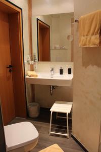 瓦伦多夫Gästehaus Niemerg的一间带水槽、卫生间和镜子的浴室