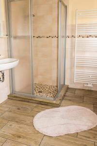 比苏姆Gästehaus Margareth的一间带地毯和水槽的淋浴的浴室