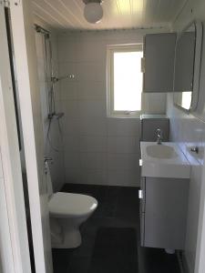 哈尔姆斯塔德Stugcentralen Stuga 24的一间带卫生间和水槽的浴室