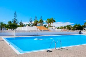 德尔锡伦西奥海岸Cozy apartment in Costa del Silencio的一个种有棕榈树的大型蓝色游泳池