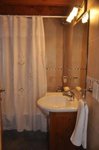圣卡洛斯-德巴里洛切Rayen Mapu的一间带水槽和淋浴帘的浴室