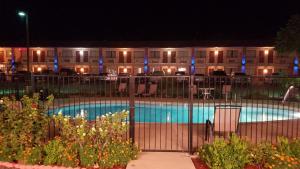 拉梅萨Shiloh Inn Lamesa的夜间在酒店前的游泳池