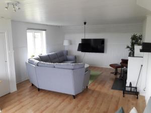 奥萨Orsastuguthyrning-Digerberget的带沙发和电视的客厅
