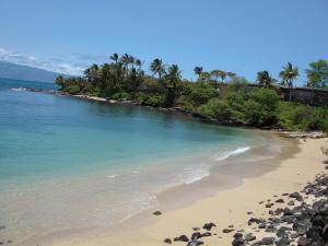 卡哈纳毛伊岛海滨别墅住宿加早餐旅馆的一片拥有岩石和棕榈树的海滩和大海