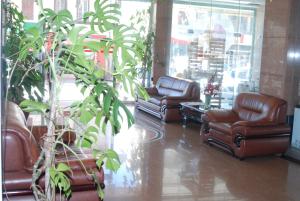 塔那那利佛长荣大酒店的一间设有皮椅和植物的等候室