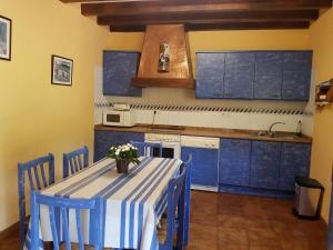 ErrazuMartikotenea I & II的厨房配有蓝色橱柜和鲜花桌