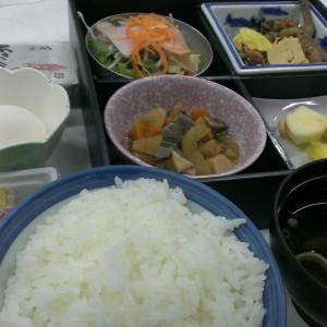 鱼津鱼津天空酒店的飞机上装有米饭和其他食物的托盘