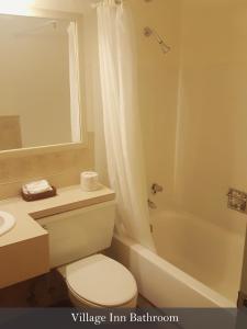 Crystal Mountain水晶山酒店的浴室配有卫生间、盥洗盆和浴缸。