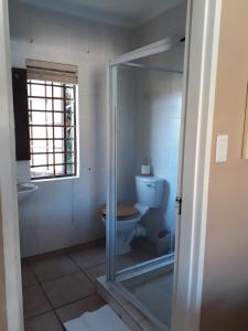 干斯拜Tourist Lodge Gansbaai的一间带卫生间和窗户的浴室