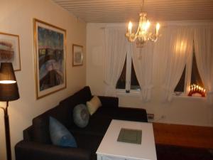 特罗姆瑟瑞德欧德豪斯特罗姆瑟公寓的客厅配有黑色沙发和吊灯。