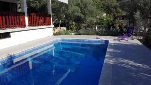 尼亚卢卡Holiday Home Vela Luka的庭院里带紫色椅子的蓝色游泳池