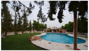 焦特布尔拉瑞亚度假酒店的院子里设有2个长椅的游泳池