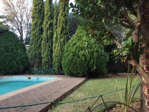 布隆方丹Cura Lodge的一个带游泳池和树木的花园