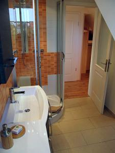格拉尔-米里茨“Haus am Küstenwald” Ferienwohnungen的带淋浴和白色盥洗盆的浴室